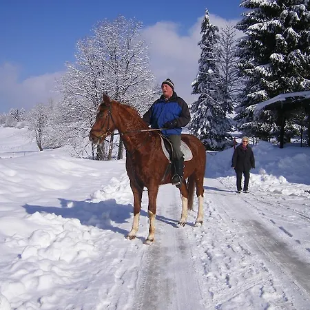 Appartamento Frick Möggers