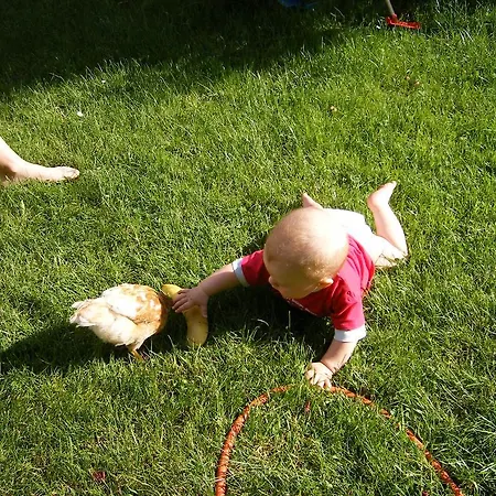 Appartamento Frick *