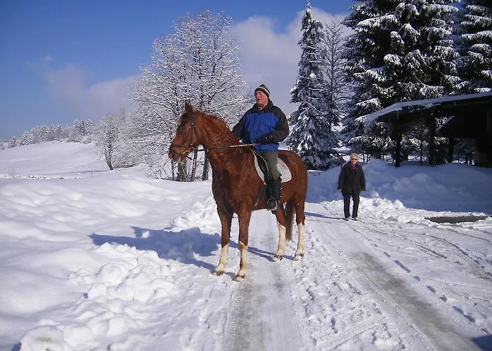 Apartamento Frick Möggers